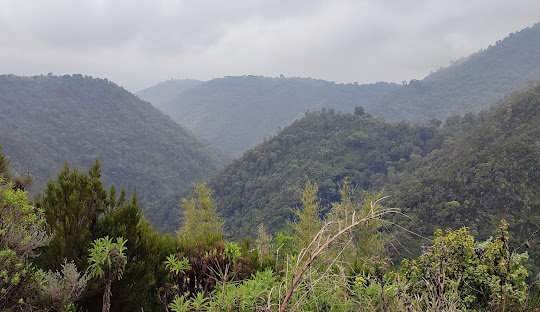 Aberdare National Park