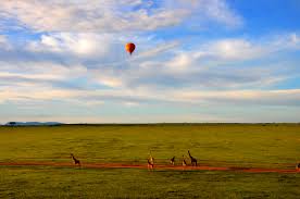 Narok County (Maasai Mara)