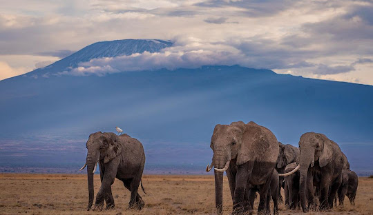 Kajiado County