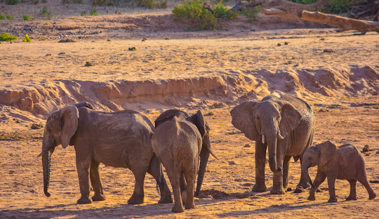 Samburu County