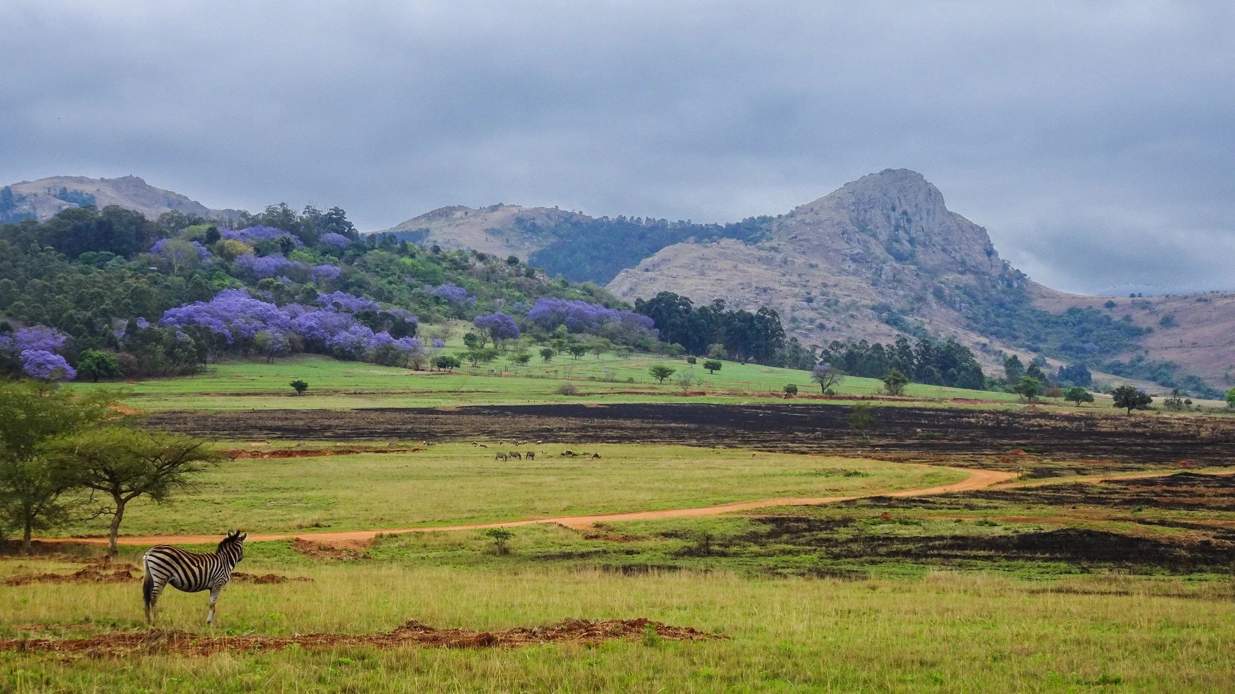 Eswatini