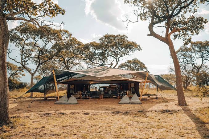 Photo: Safari Frank