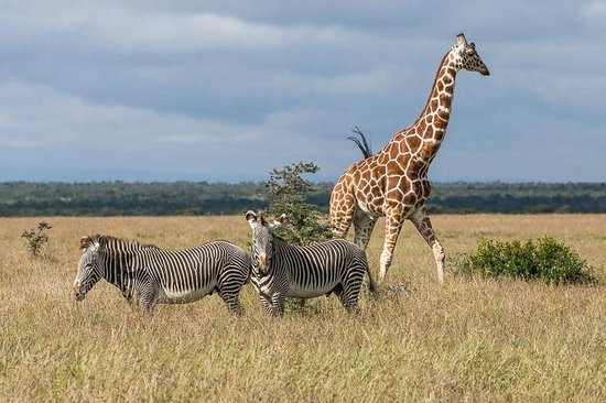 Image credit: Tripadvisor