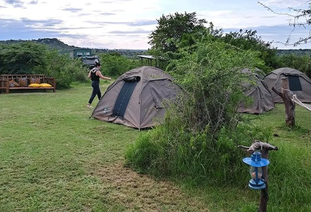 Image credit: Wagatil Safari