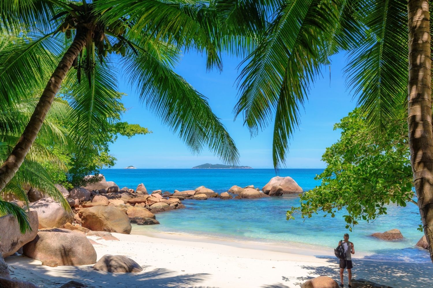 Image credit: African Travels