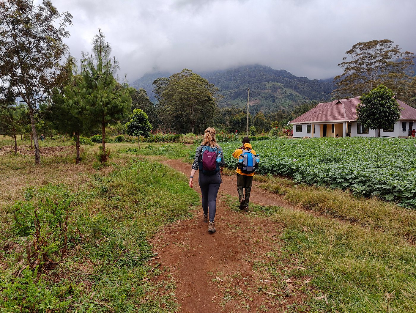 USAMBARA: 4-Day Usambara Mountains Trekking Tour gallery 2