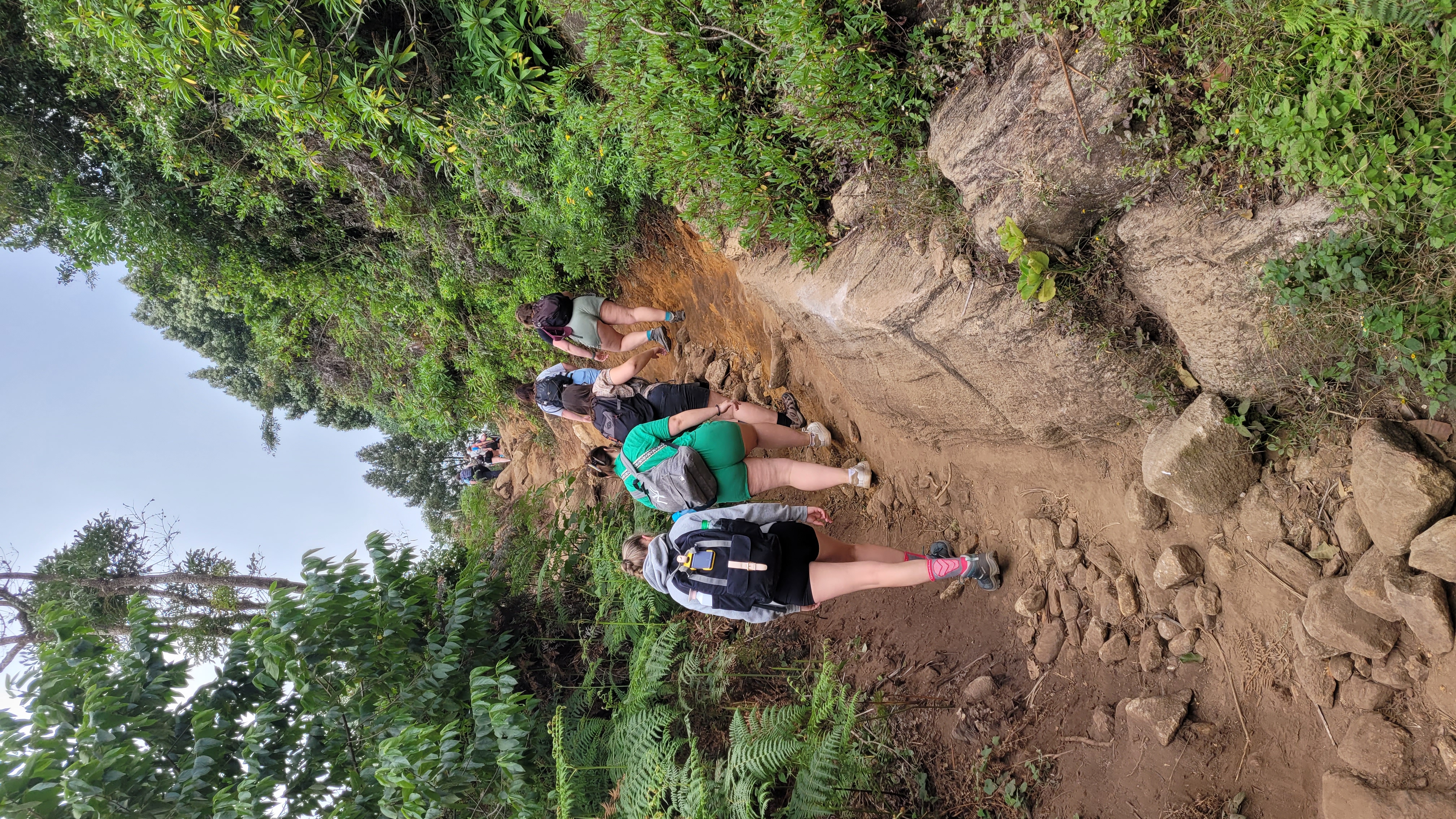 USAMBARA: 4-Day Usambara Mountains Trekking Tour gallery 5