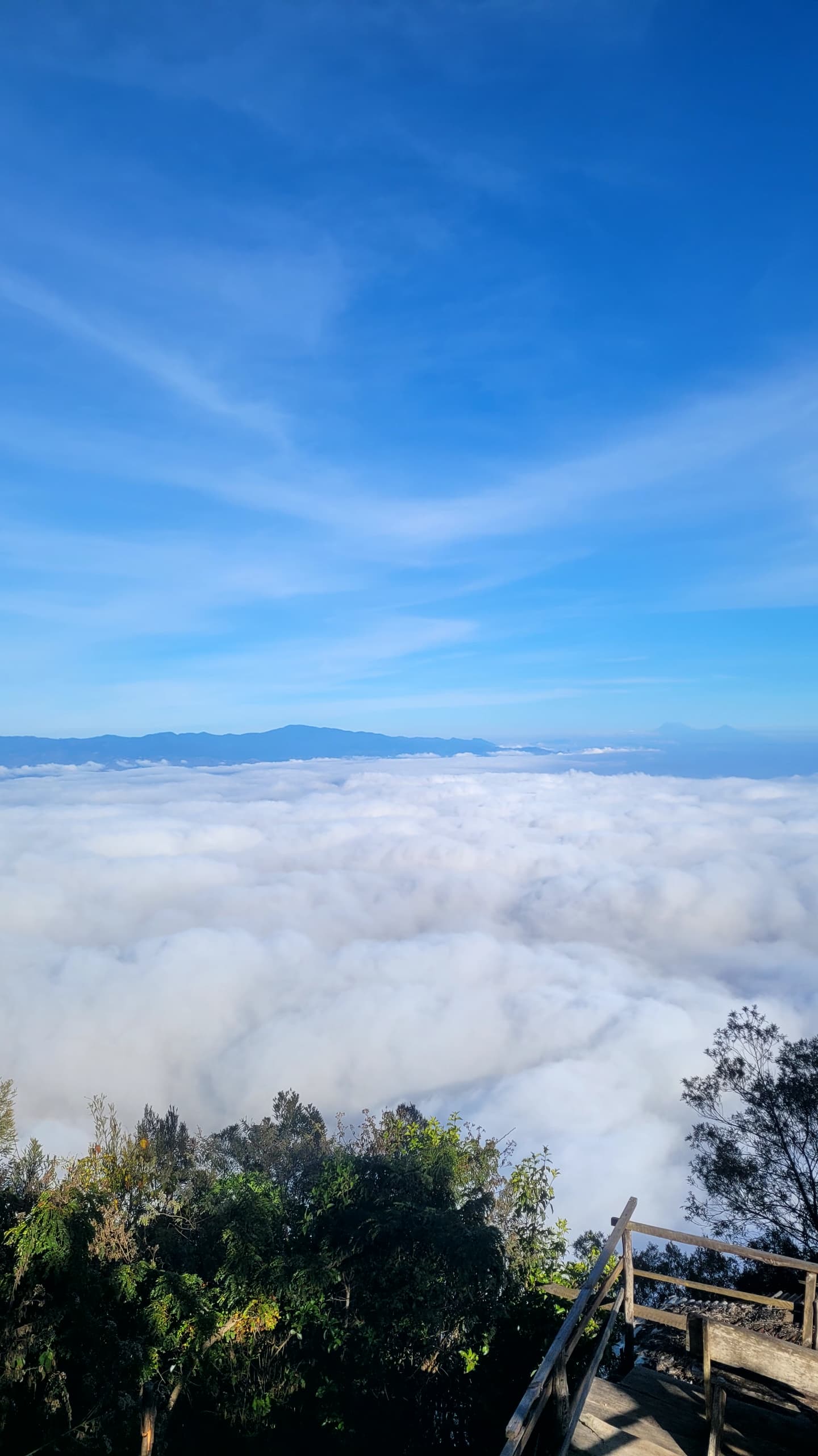 USAMBARA: 4-Day Usambara Mountains Trekking Tour gallery 8