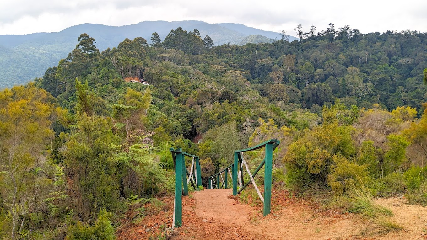 USAMBARA: 4-Day Usambara Mountains Trekking Tour gallery 9