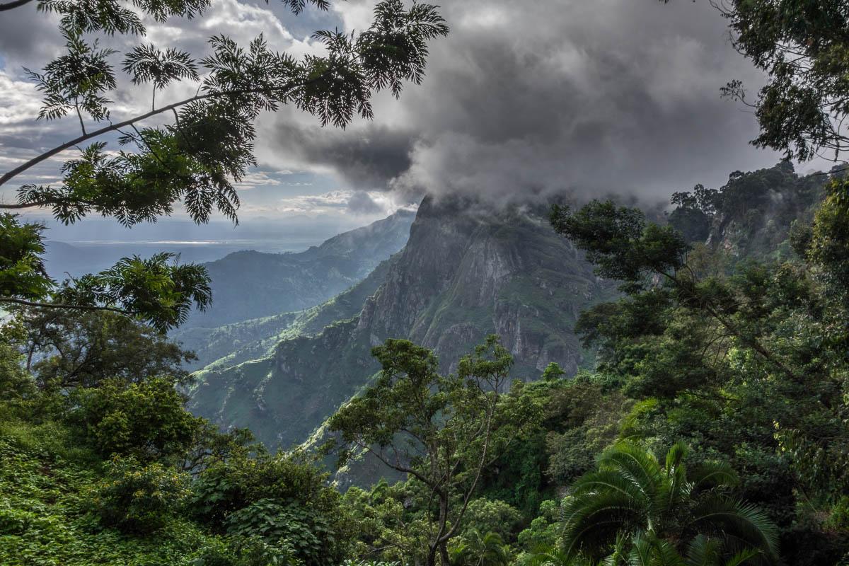 USAMBARA: 4-Day Usambara Mountains Trekking Tour gallery 10