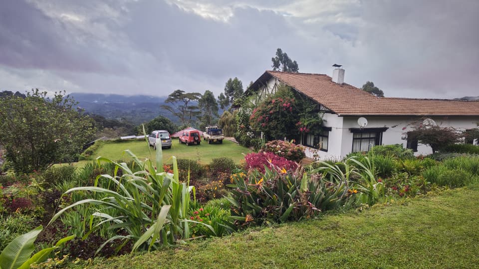 4 Days Mazumbai Forest Escape: Tanzania’s Hidden Eden gallery 2
