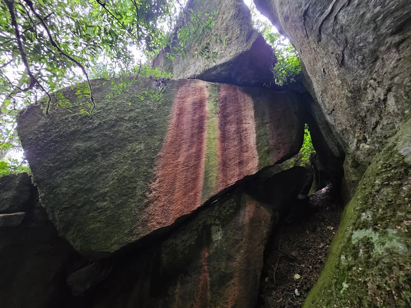 4 Days Mazumbai Forest Escape: Tanzania’s Hidden Eden gallery 4