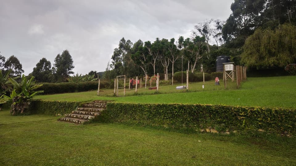 4 Days Mazumbai Forest Escape: Tanzania’s Hidden Eden gallery 10