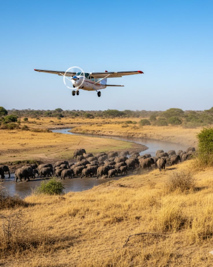 Masai Mara Fly -in Safari gallery 1