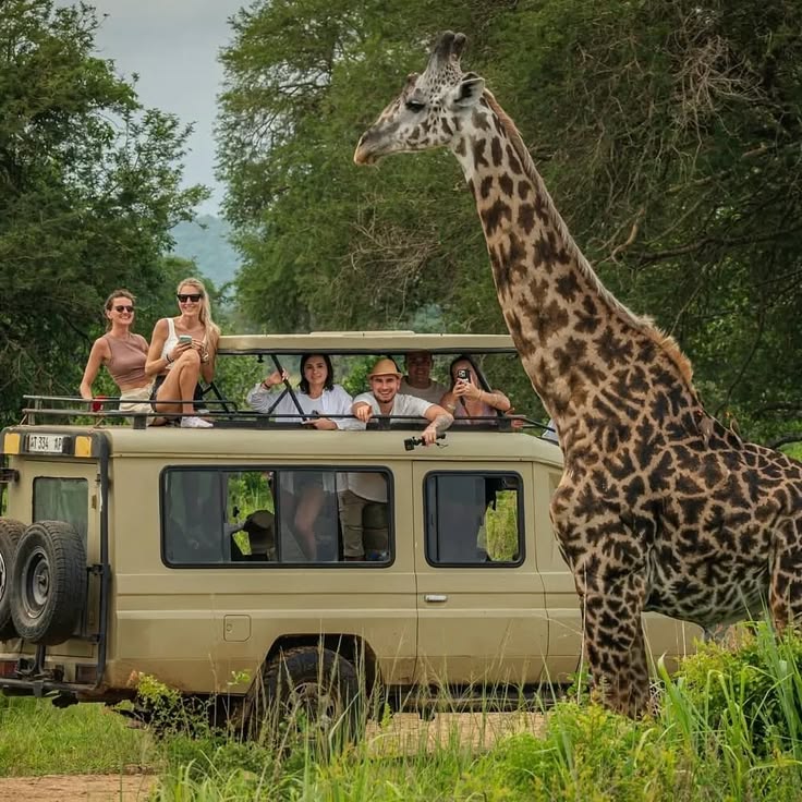 Masai Mara Fly -in Safari gallery 2