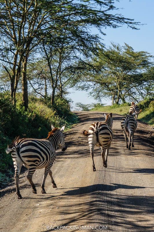 Lake Nakuru day trip gallery 2