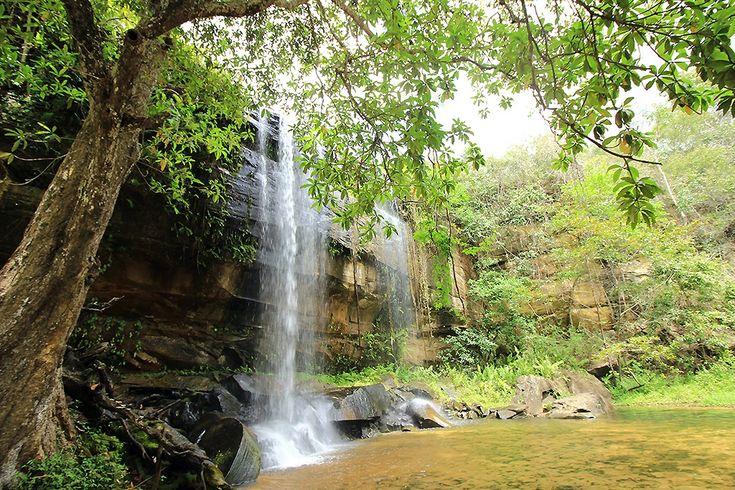 Shimba Hills Nature Adventure gallery 1