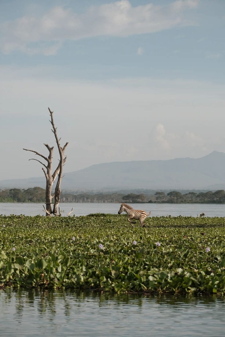 Naivasha  Great  Adventure gallery 1
