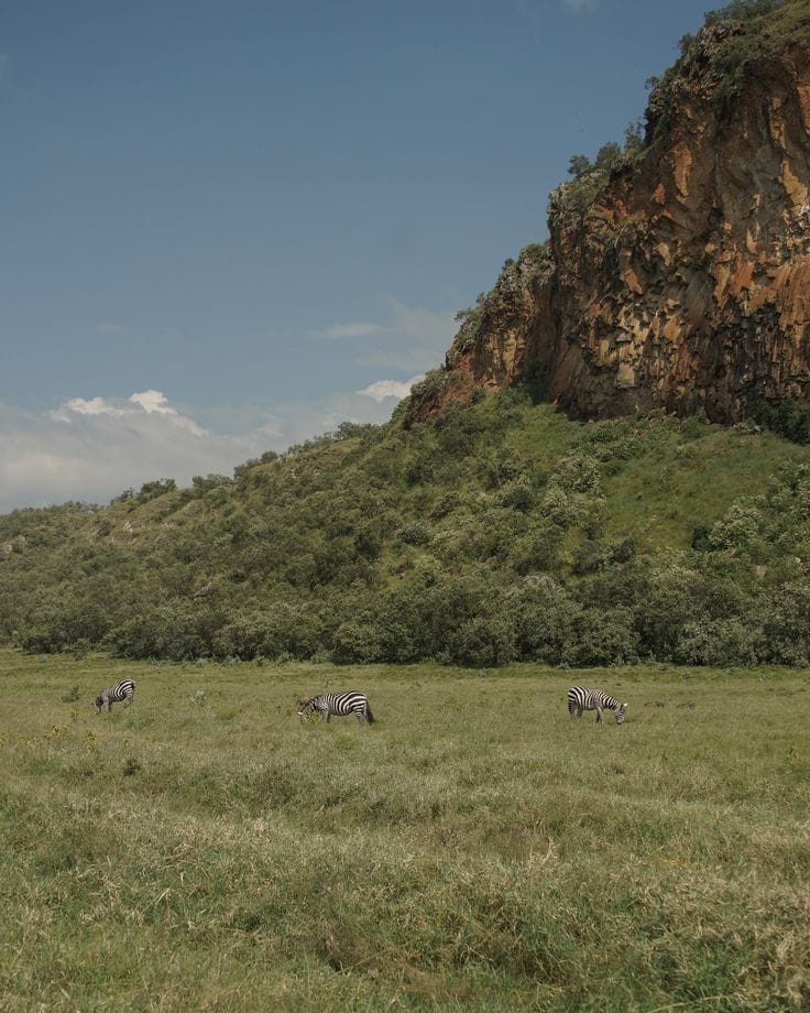 Naivasha  Great  Adventure gallery 7