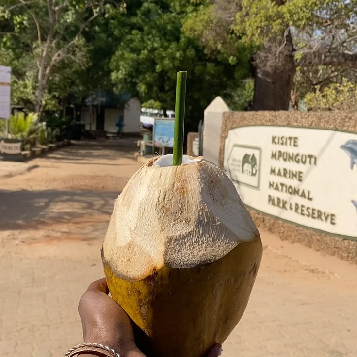 Wasini Island signature