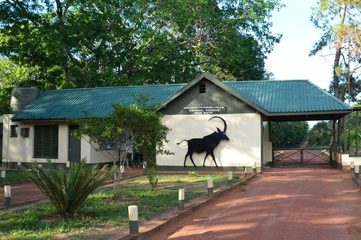 Shimba Hills Nature Adventure