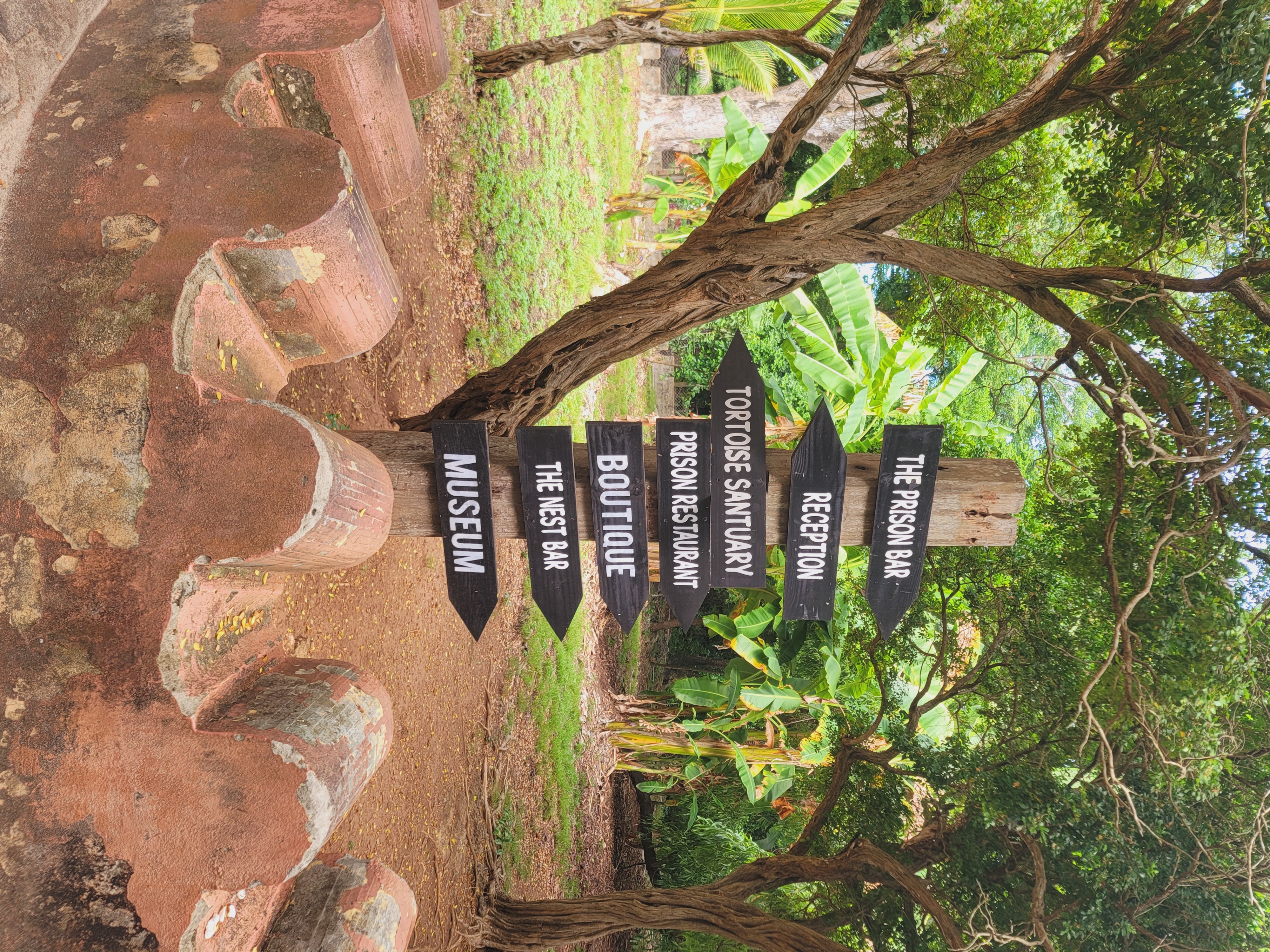Stone Town & Prison Island gallery 5