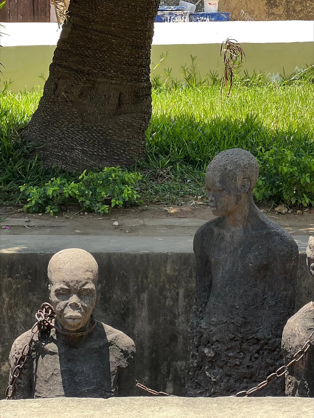Stone Town & Prison Island gallery 8