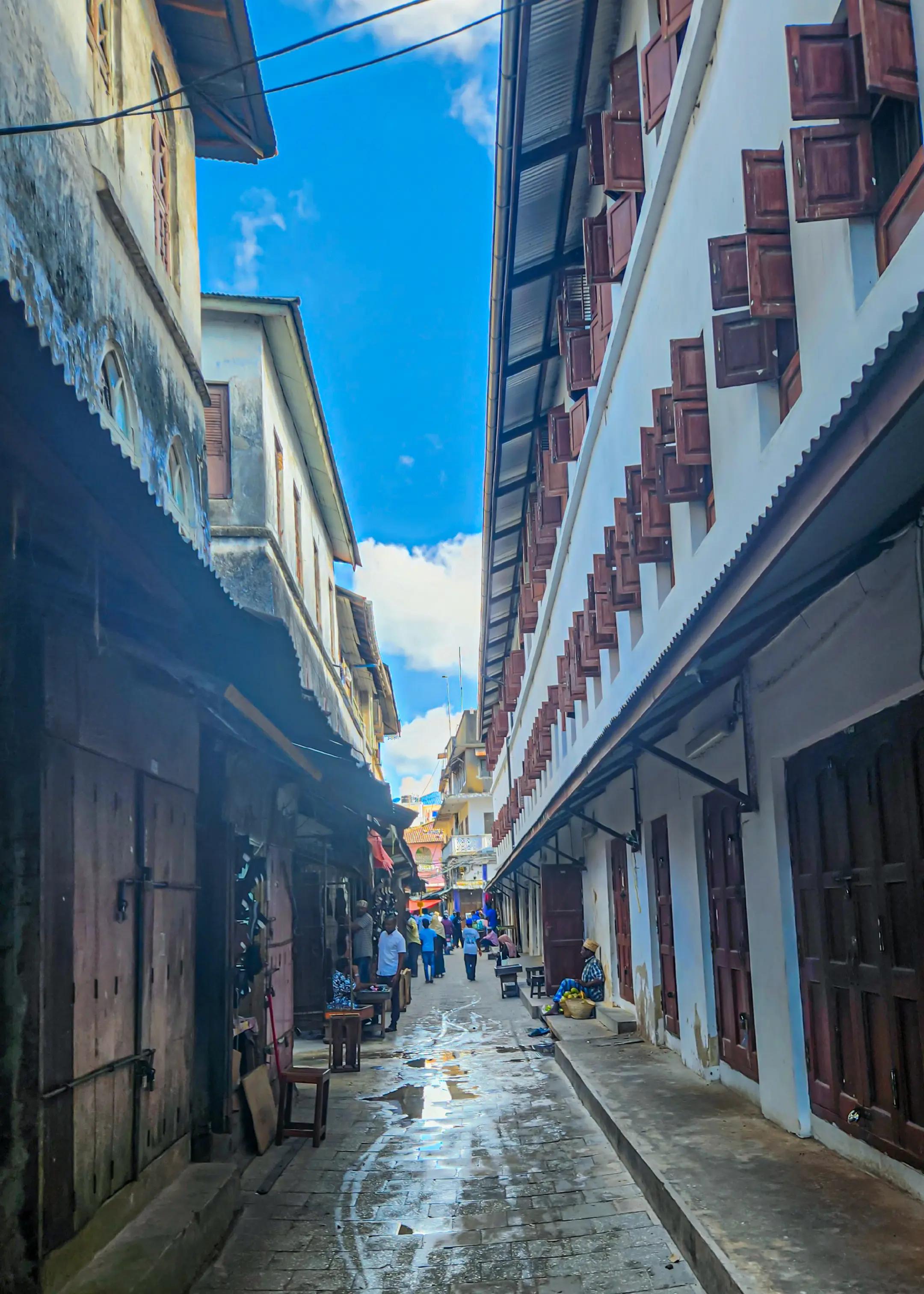 Stone Town & Prison Island gallery 10