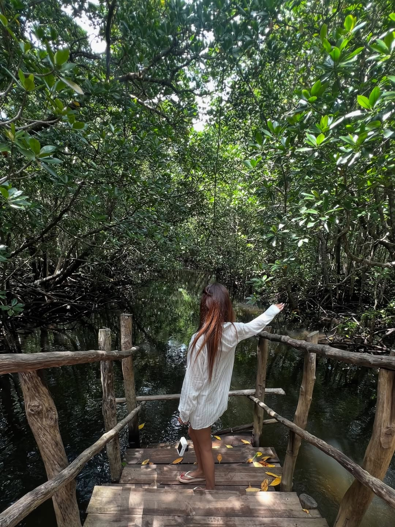 Jozani Forest Walking Tour & Salaam Cave Turtle Experience gallery 1
