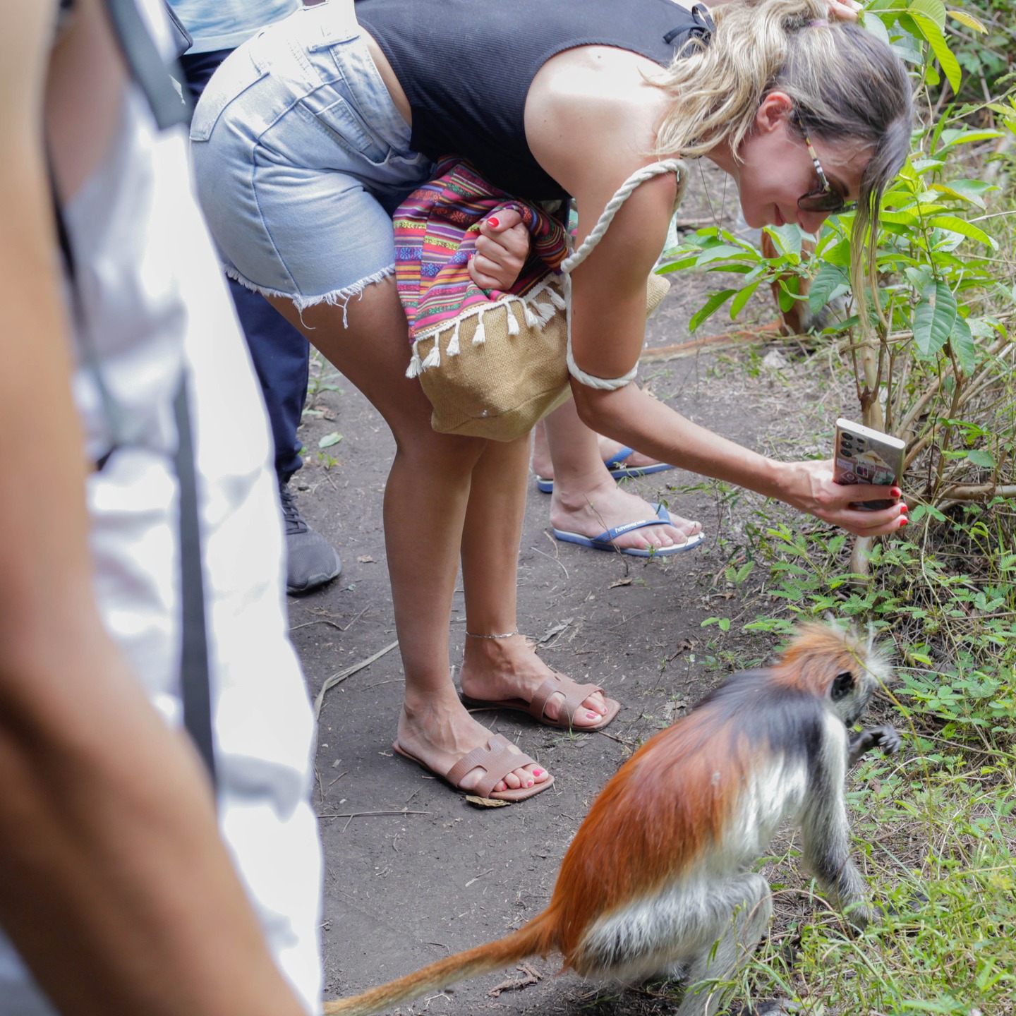 Jozani Forest Walking Tour & Salaam Cave Turtle Experience gallery 2
