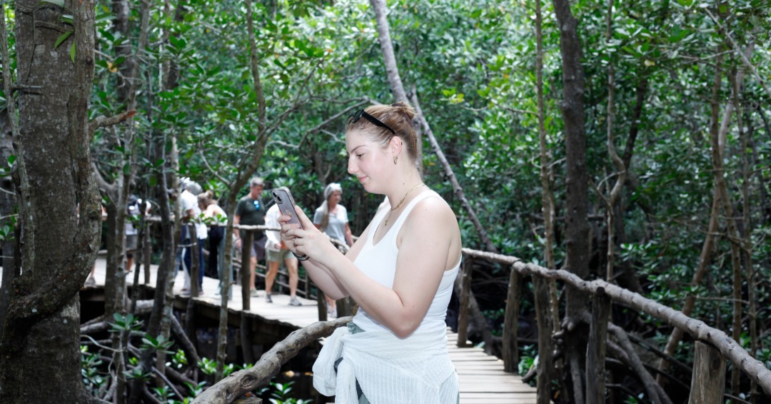 Jozani Forest Walking Tour & Salaam Cave Turtle Experience gallery 4