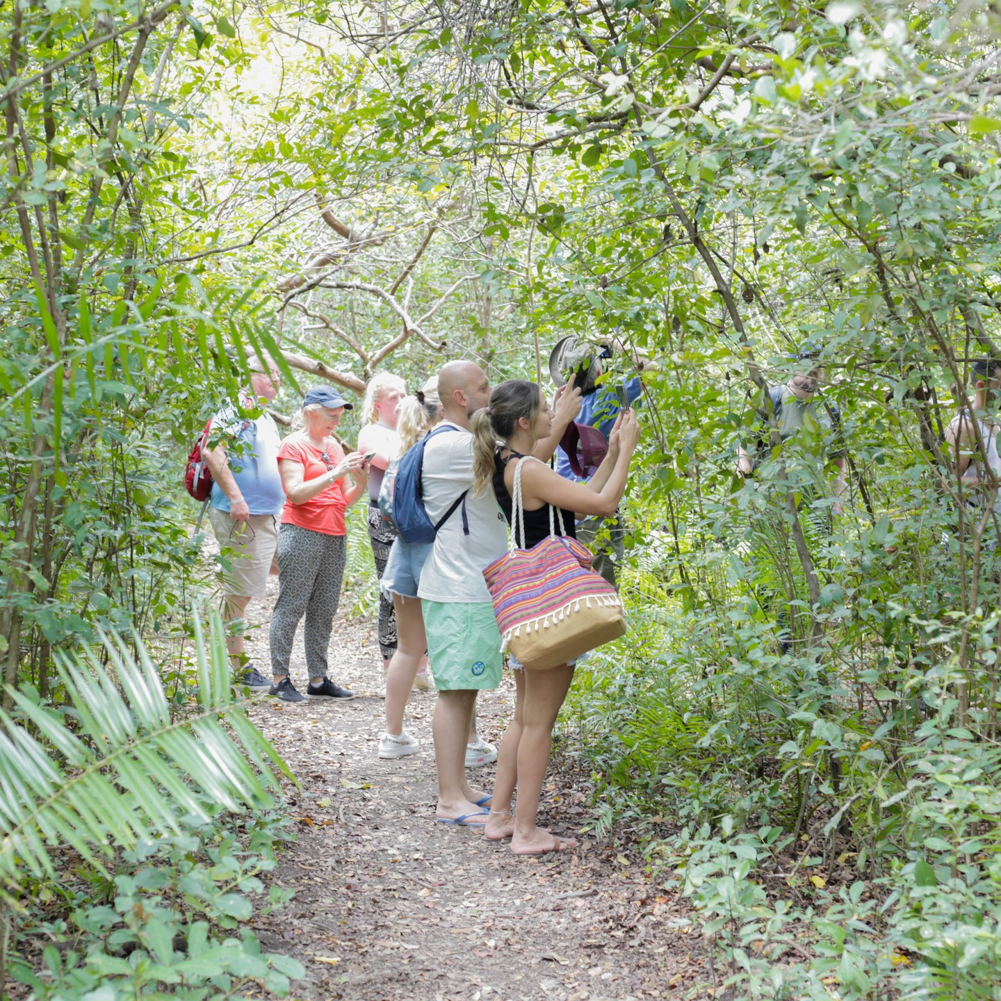 Jozani Forest Walking Tour & Salaam Cave Turtle Experience gallery 5