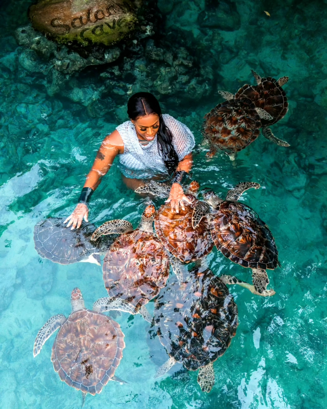 Jozani Forest Walking Tour & Salaam Cave Turtle Experience gallery 7