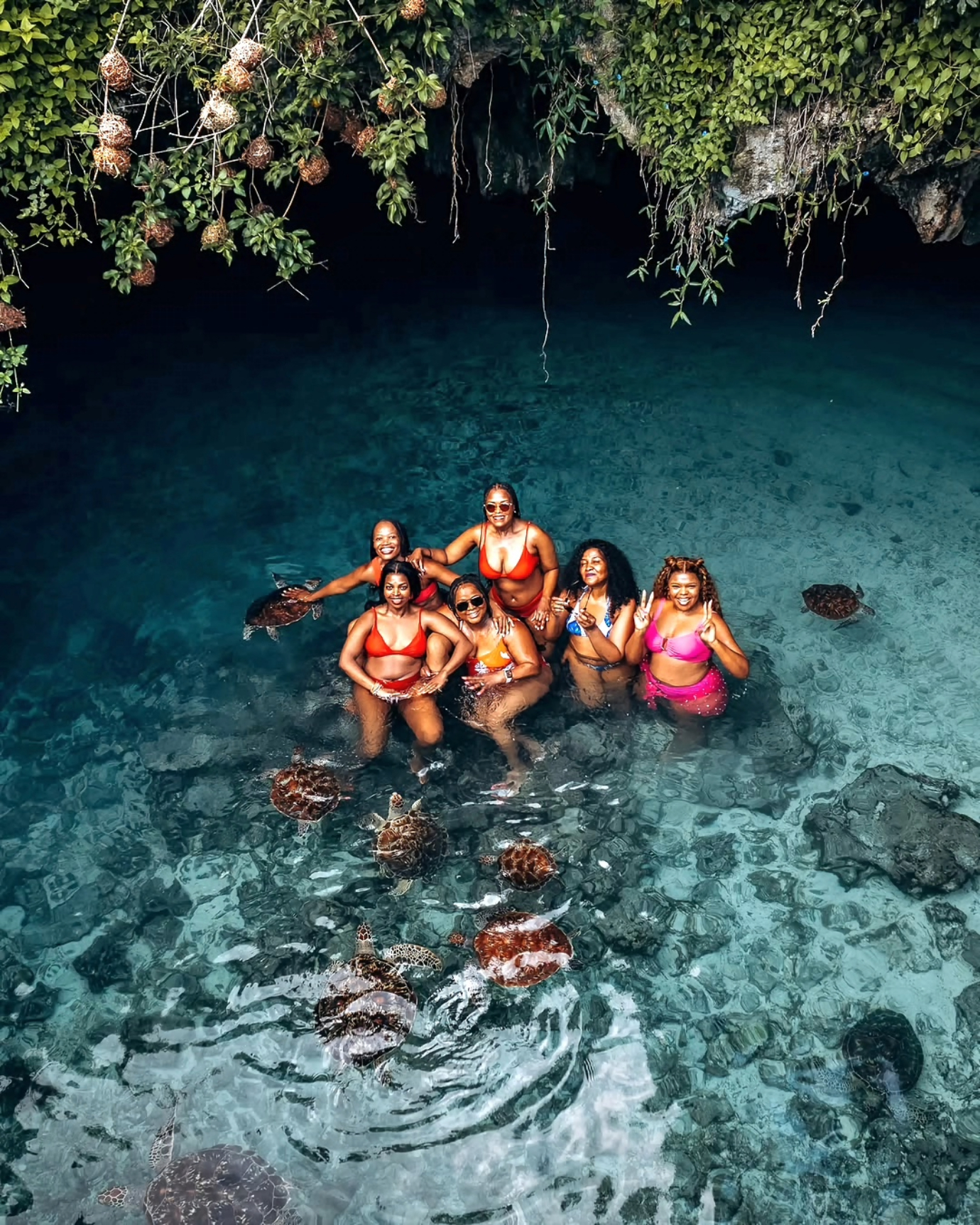 Jozani Forest Walking Tour & Salaam Cave Turtle Experience gallery 9