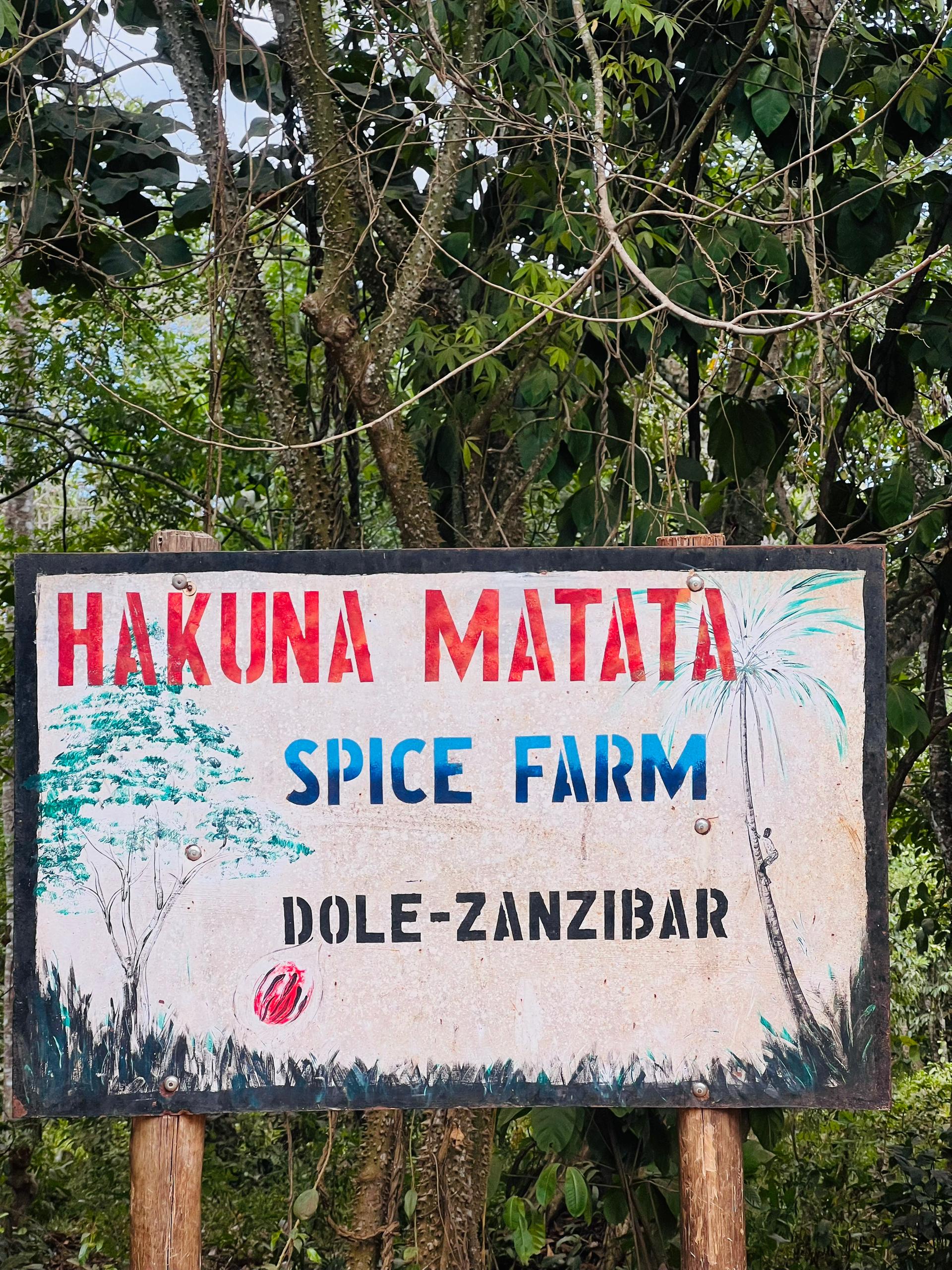Zanzibar Spice Farm Tour gallery 1