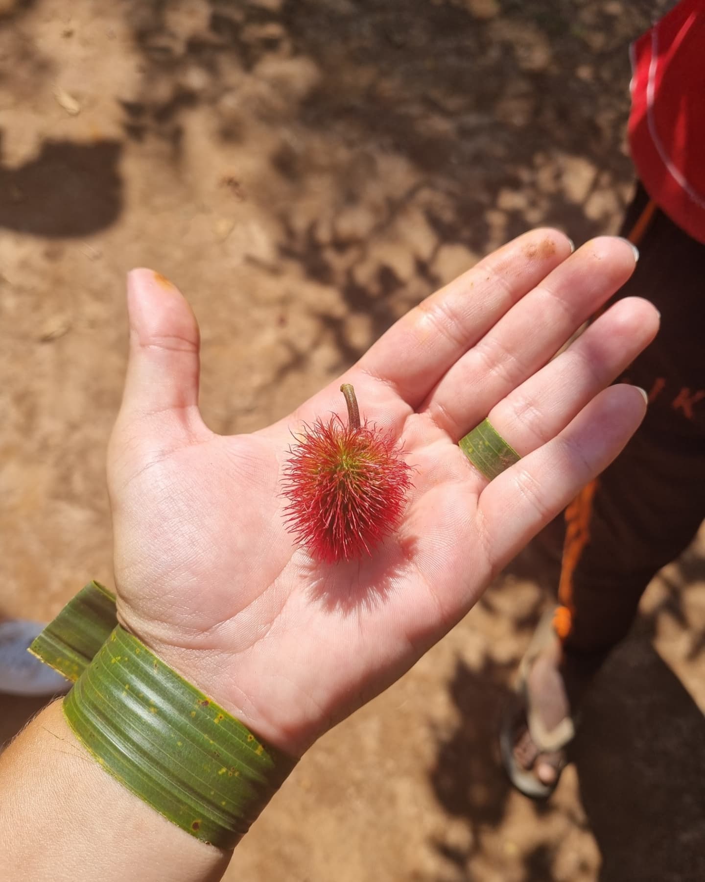Zanzibar Spice Farm Tour gallery 5