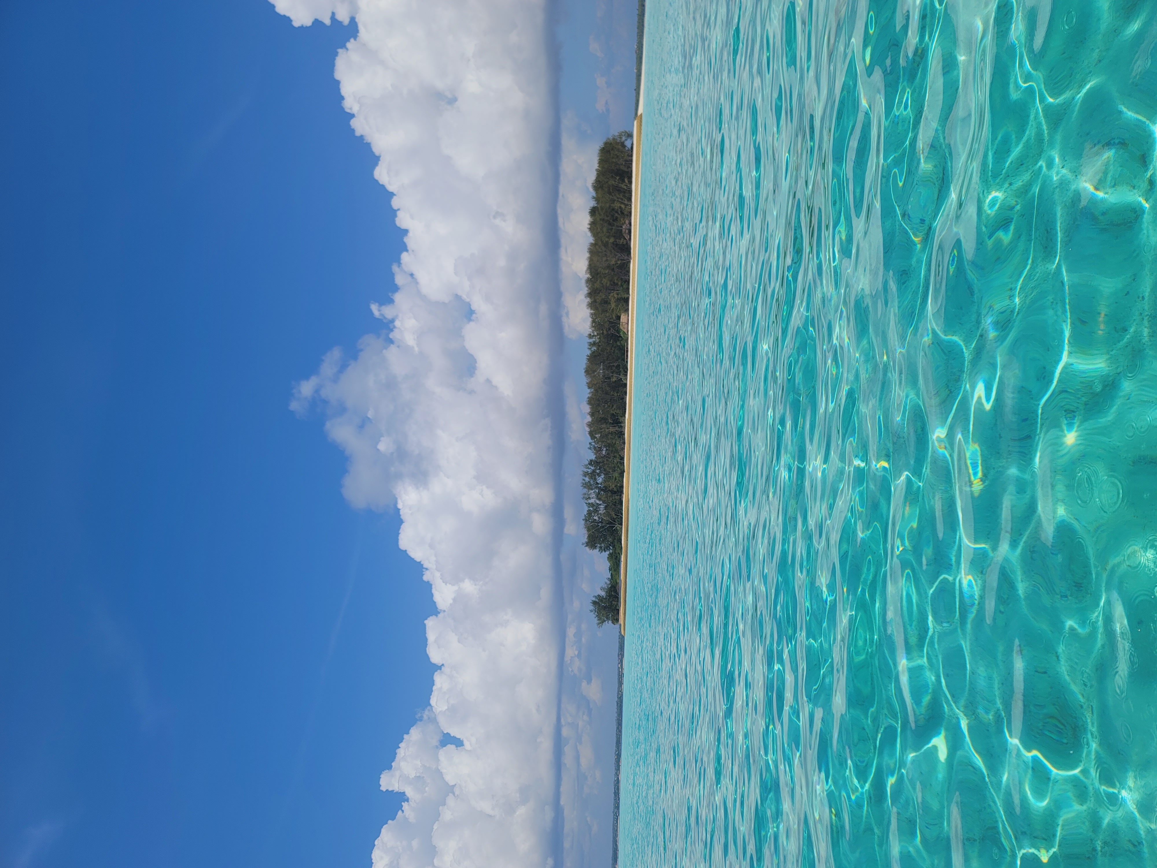 Mnemba Dolphin Spotting & Snorkeling gallery 5