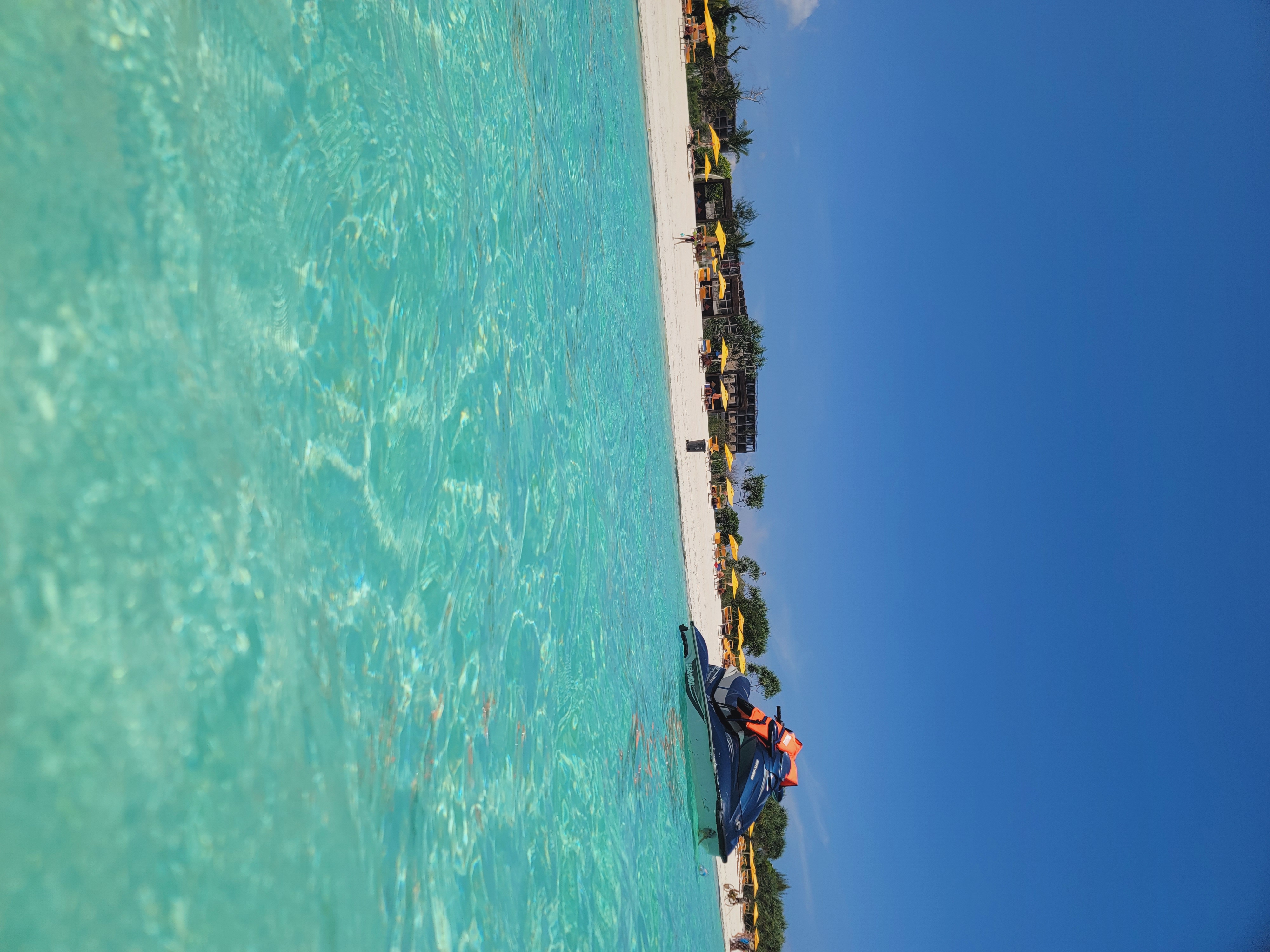 Mnemba Dolphin Spotting & Snorkeling gallery 6
