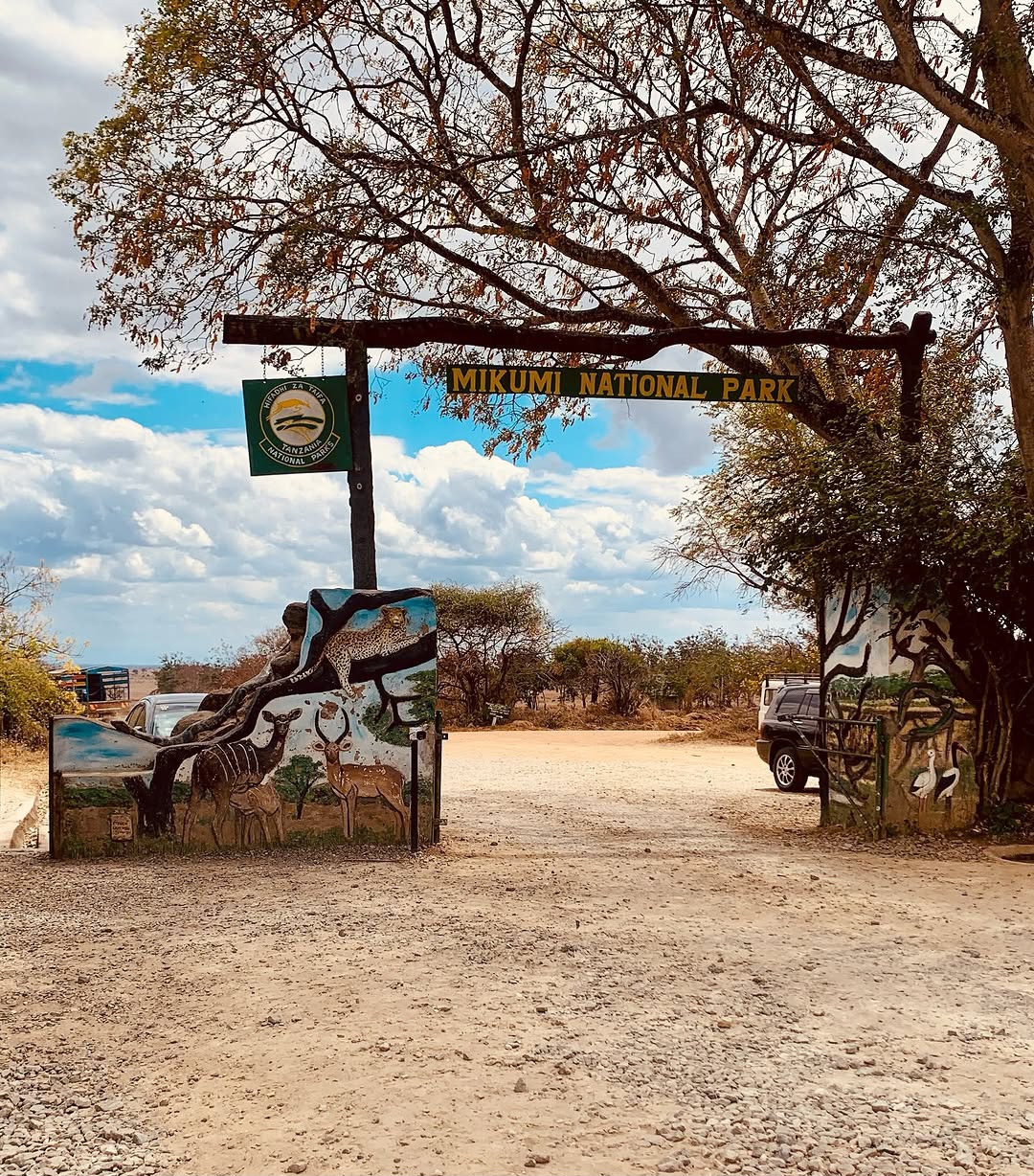 Mikumi National Park Fly-in Safari from Zanzibar — tour on MyBlak