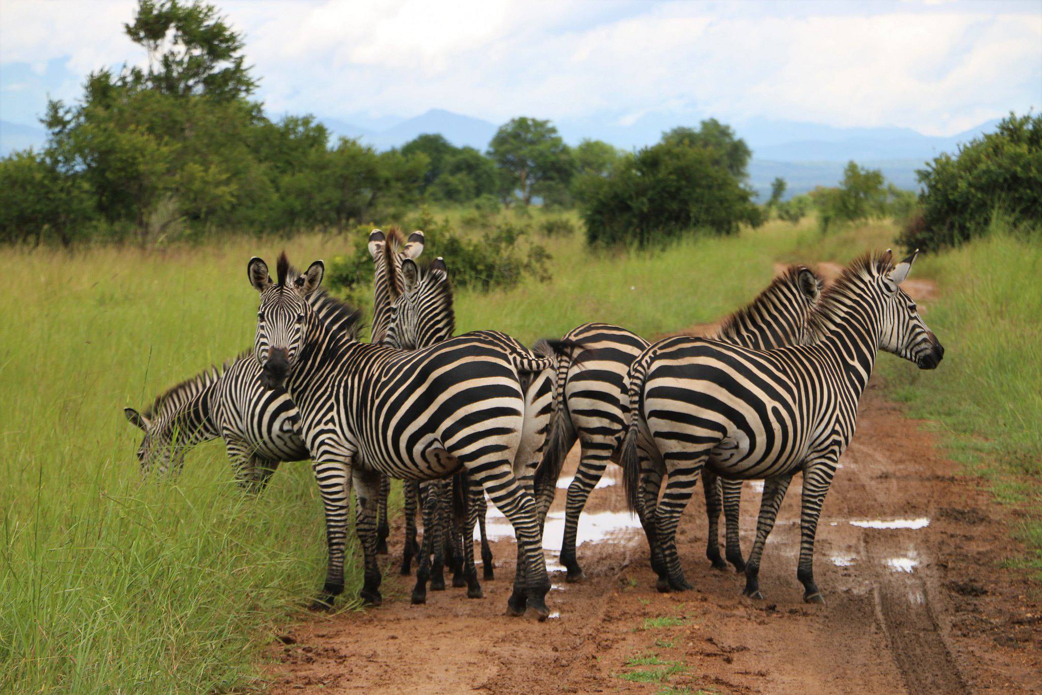 7 DAYS SOUTHERN TANZANIA gallery 1