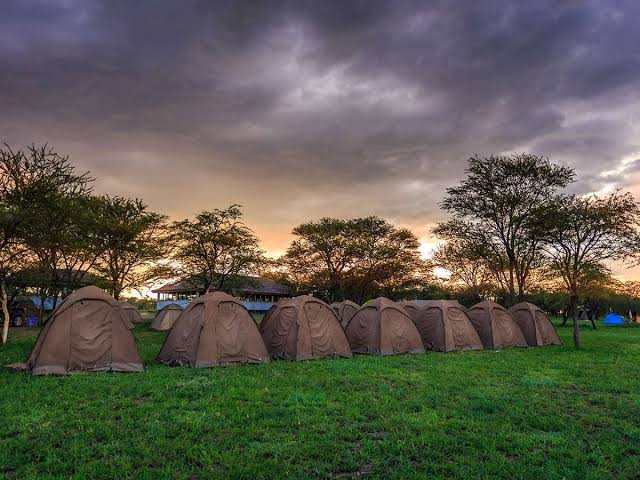 3 days camping safari