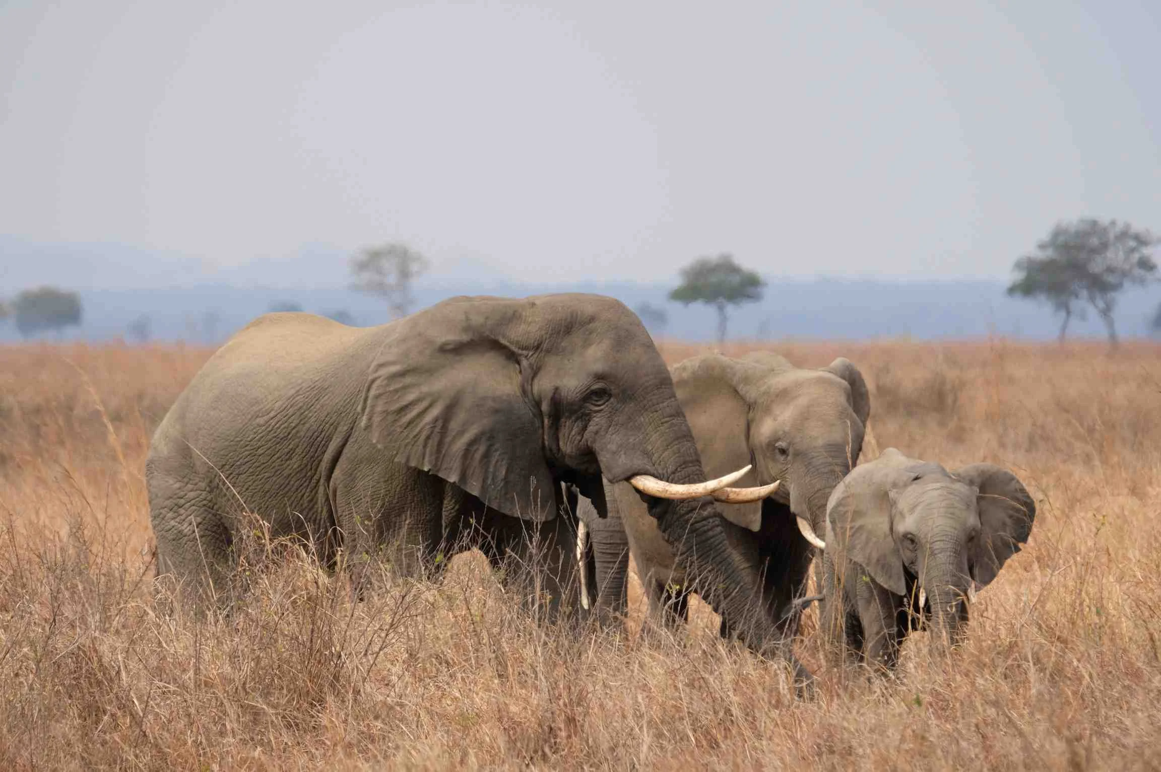 7 DAYS SOUTHERN TANZANIA