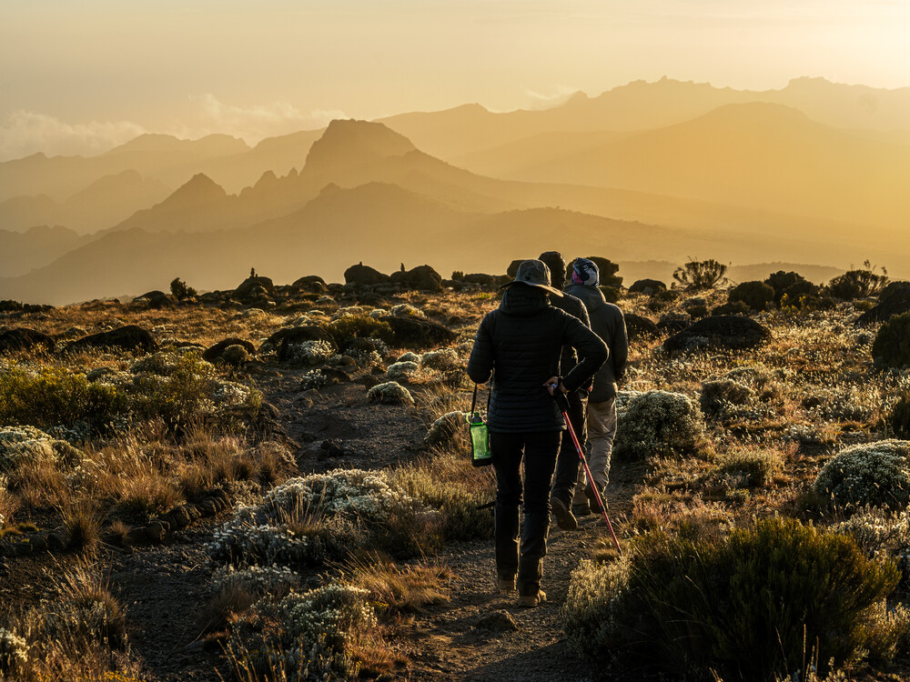 The Ultimate Lemosho Challenge – 7 Days to Uhuru Peak gallery 5