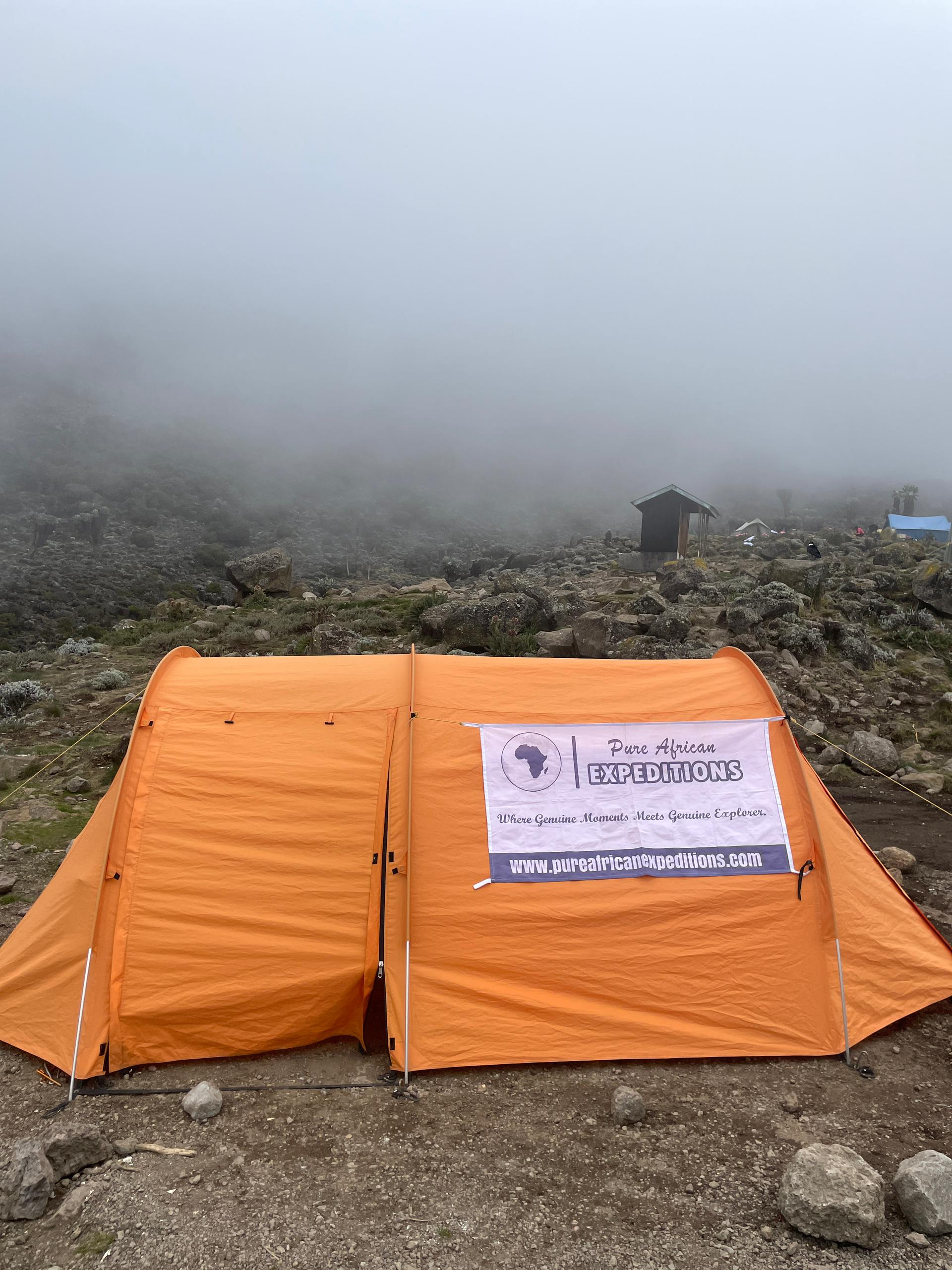 The Ultimate Lemosho Challenge – 7 Days to Uhuru Peak gallery 9