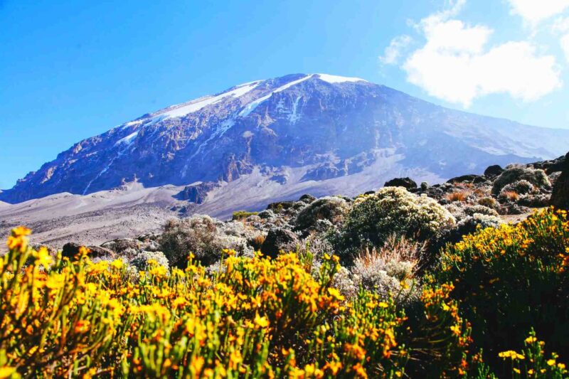 The Shira Plateau Grand Traverse – 7 Days gallery 1
