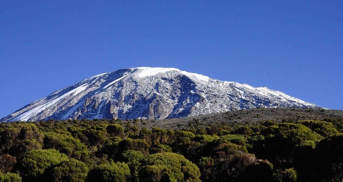 The Shira Plateau Grand Traverse – 7 Days gallery 4