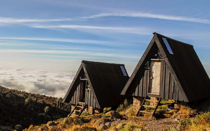 The Classic Kilimanjaro Experience Cocacola Route 5 Days gallery 4