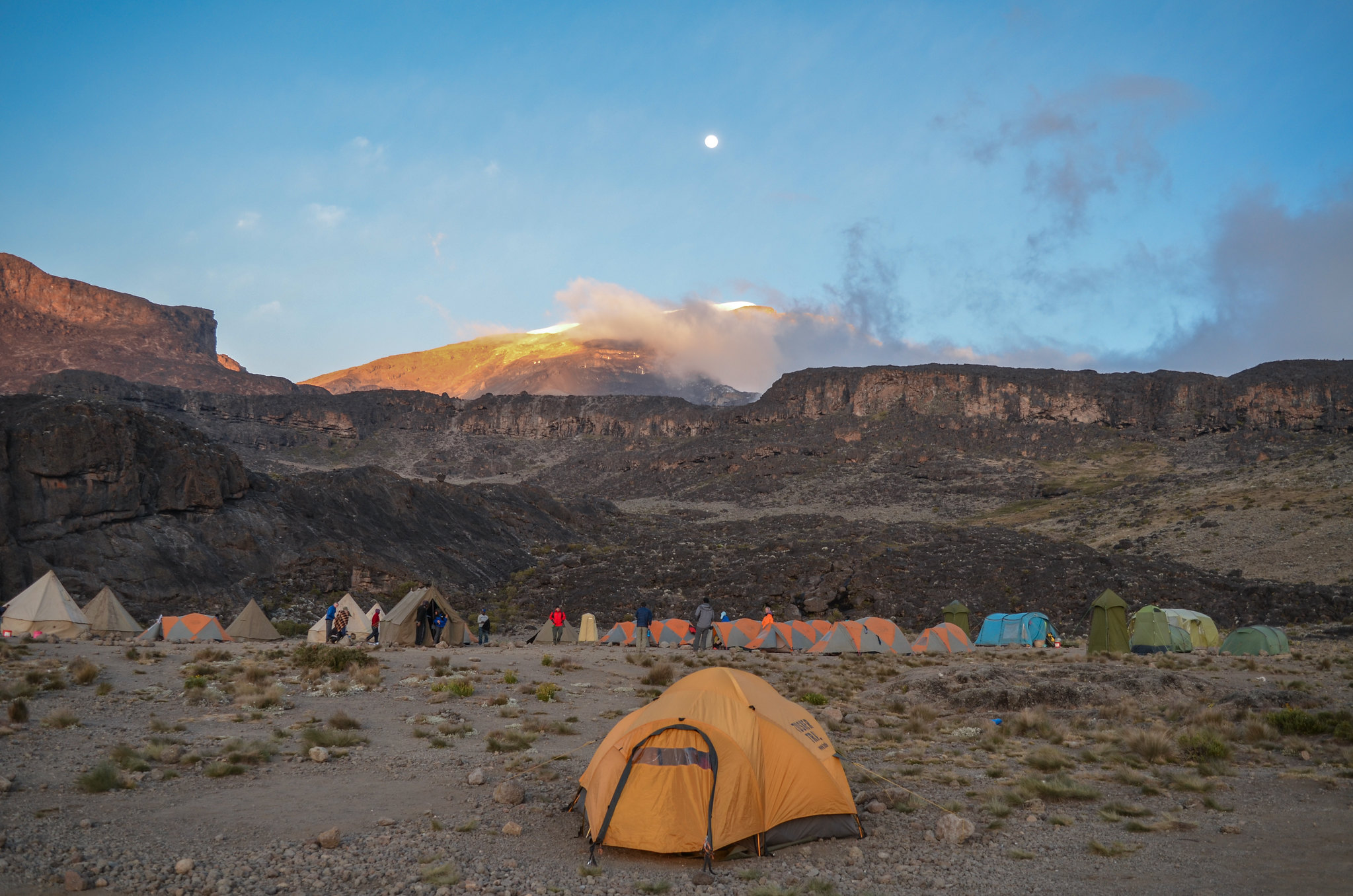 The Classic Kilimanjaro Experience Cocacola Route 5 Days gallery 10