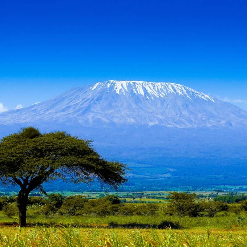 Rongai Northern Frontier – 6 Days Kilimanjaro Summit gallery 4