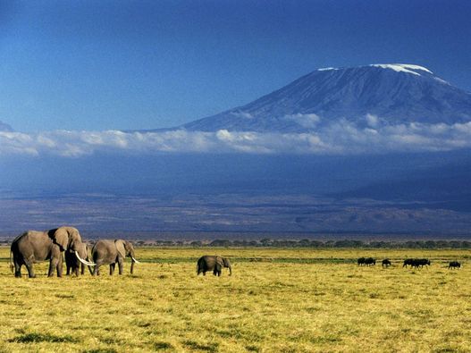 Umbwe Extreme Summit – 6 Days Kilimanjaro Adventure gallery 2